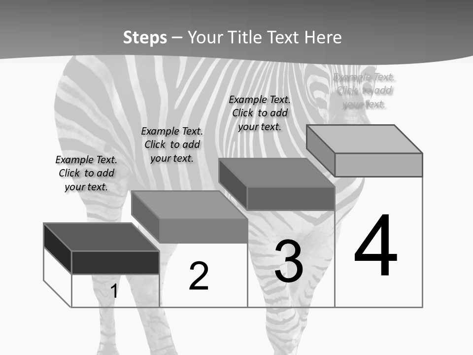Beauty Zebra Mammal PowerPoint Template