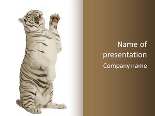 Striped Fang Creature PowerPoint Template