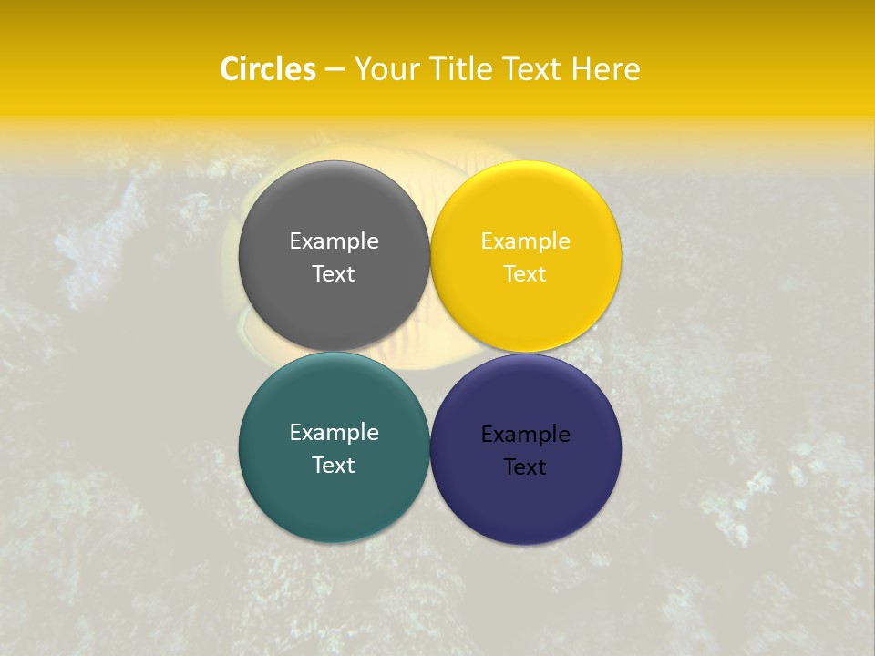 Rotes Meer Salzwasser Dunkelblau PowerPoint Template