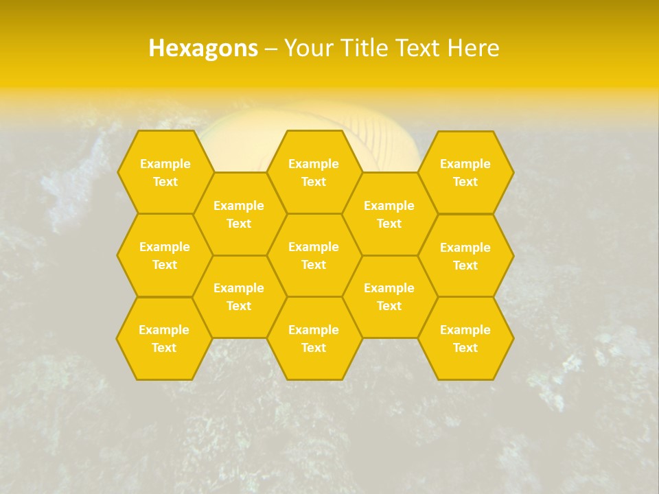 Rotes Meer Salzwasser Dunkelblau PowerPoint Template