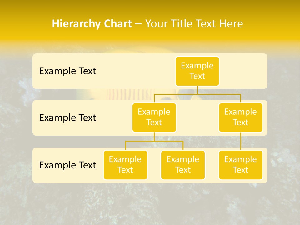 Rotes Meer Salzwasser Dunkelblau PowerPoint Template