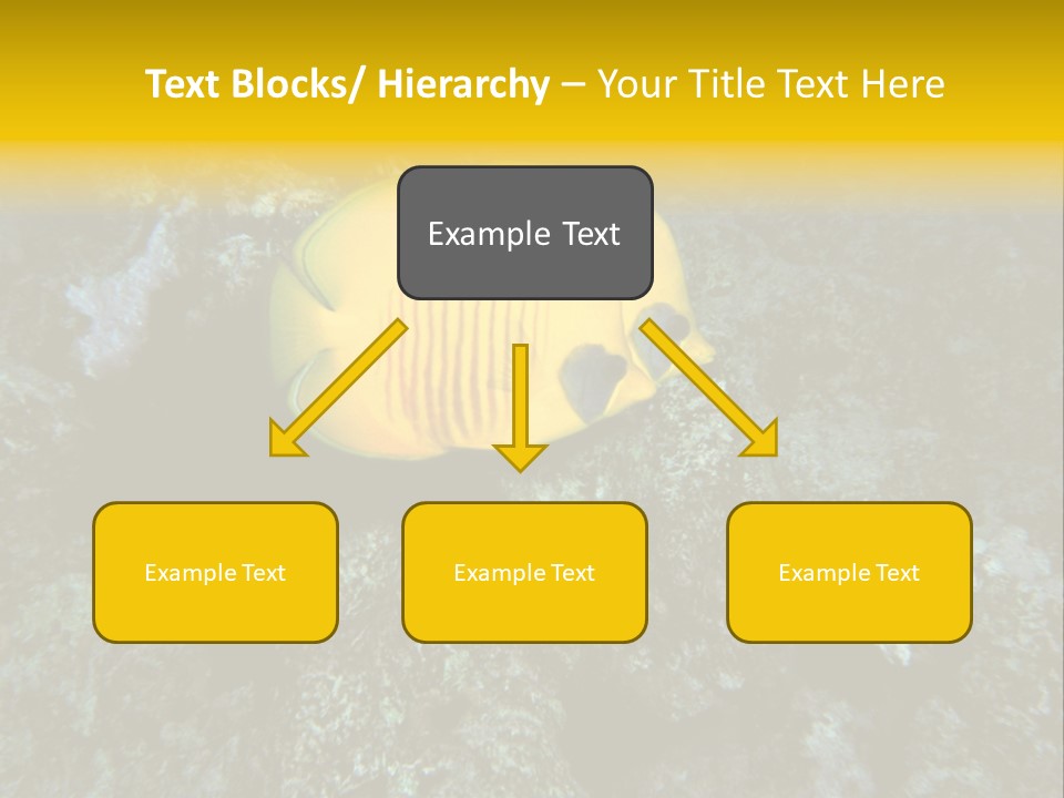 Rotes Meer Salzwasser Dunkelblau PowerPoint Template