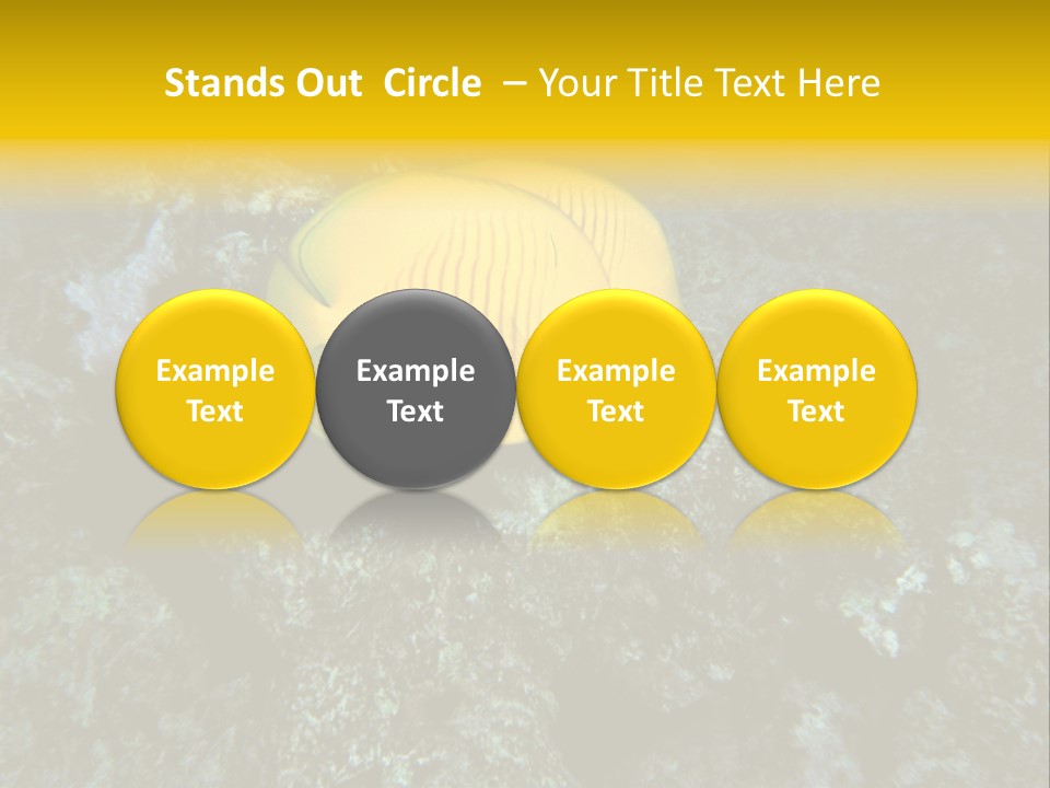 Rotes Meer Salzwasser Dunkelblau PowerPoint Template