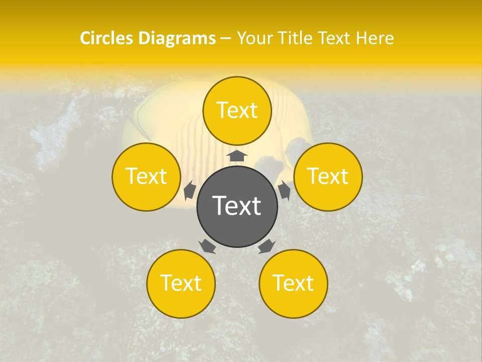 Rotes Meer Salzwasser Dunkelblau PowerPoint Template