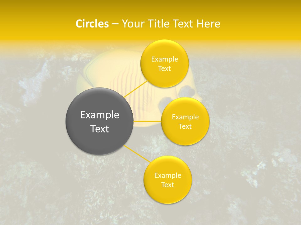 Rotes Meer Salzwasser Dunkelblau PowerPoint Template