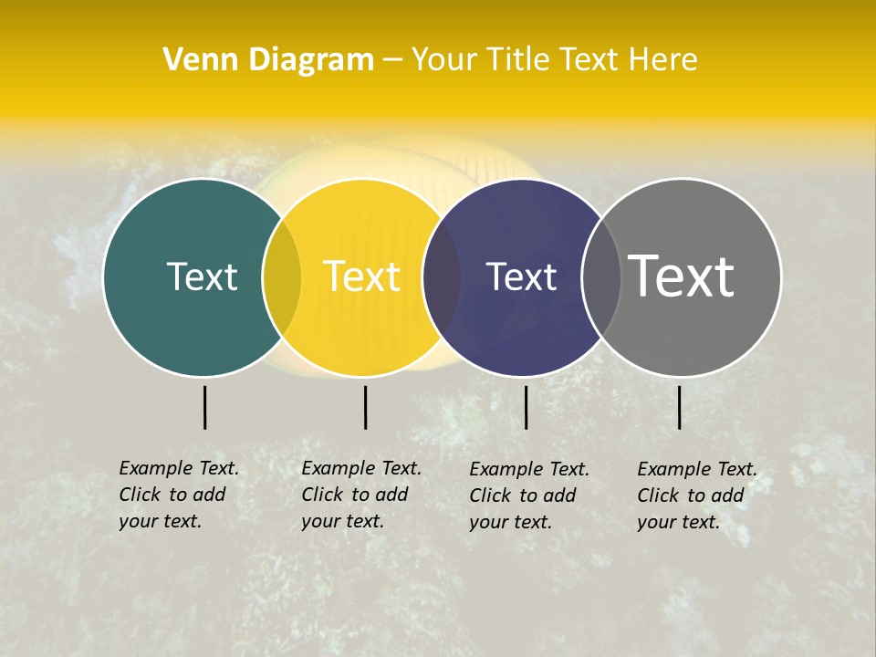 Rotes Meer Salzwasser Dunkelblau PowerPoint Template