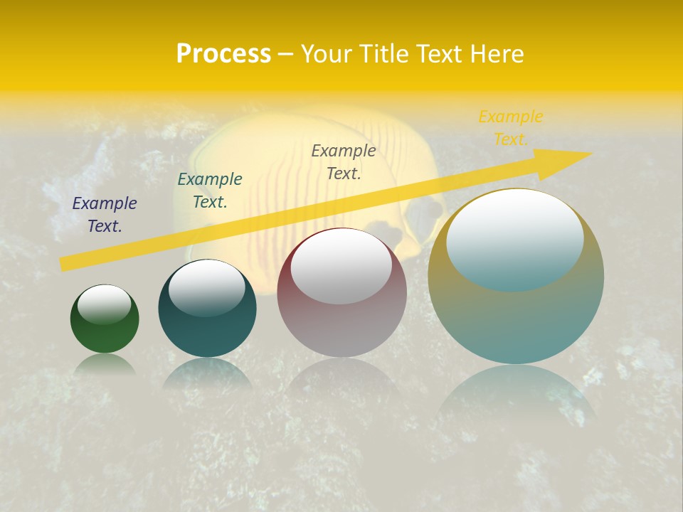 Rotes Meer Salzwasser Dunkelblau PowerPoint Template