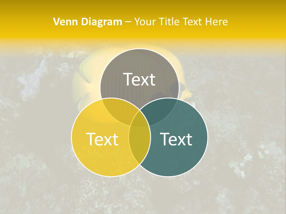 Rotes Meer Salzwasser Dunkelblau PowerPoint Template