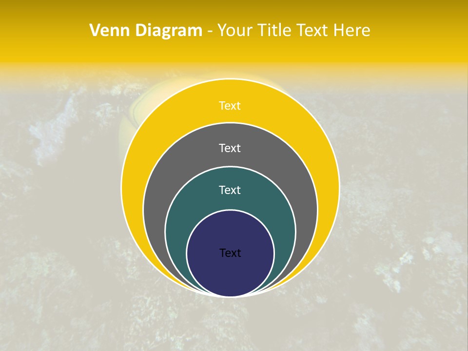 Rotes Meer Salzwasser Dunkelblau PowerPoint Template