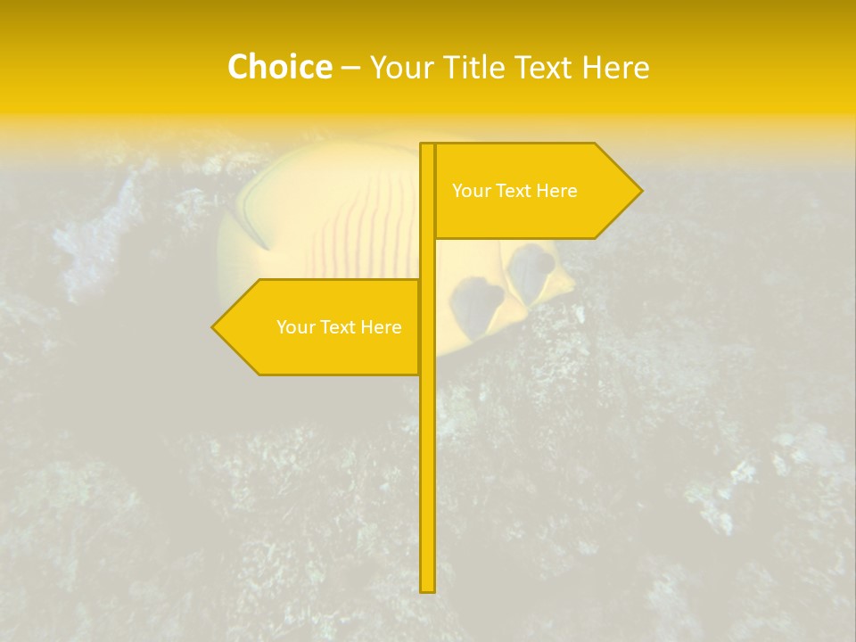 Rotes Meer Salzwasser Dunkelblau PowerPoint Template