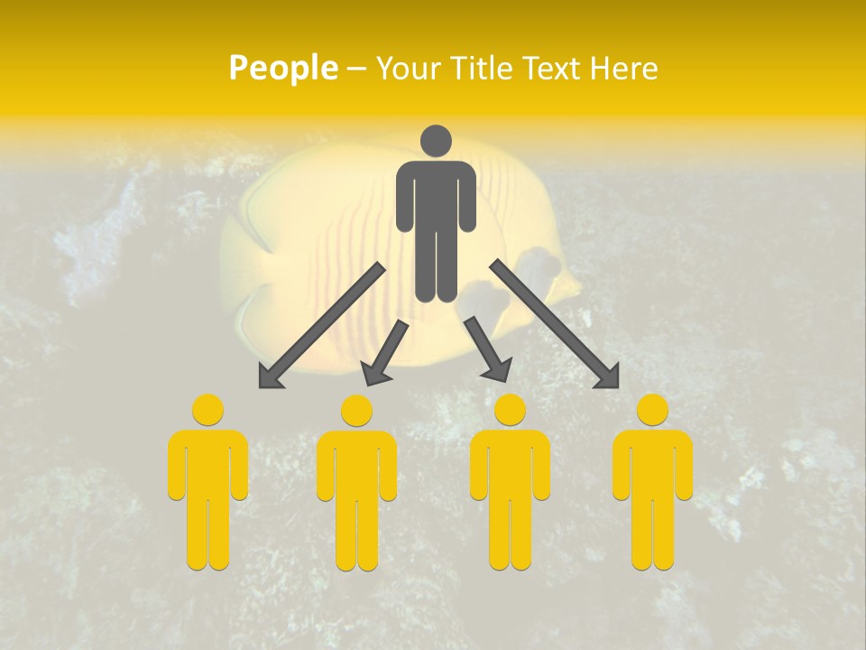 Rotes Meer Salzwasser Dunkelblau PowerPoint Template