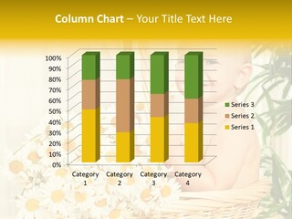 Bouquet Caucasian Home PowerPoint Template