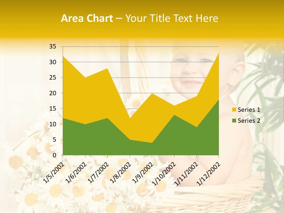 Bouquet Caucasian Home PowerPoint Template