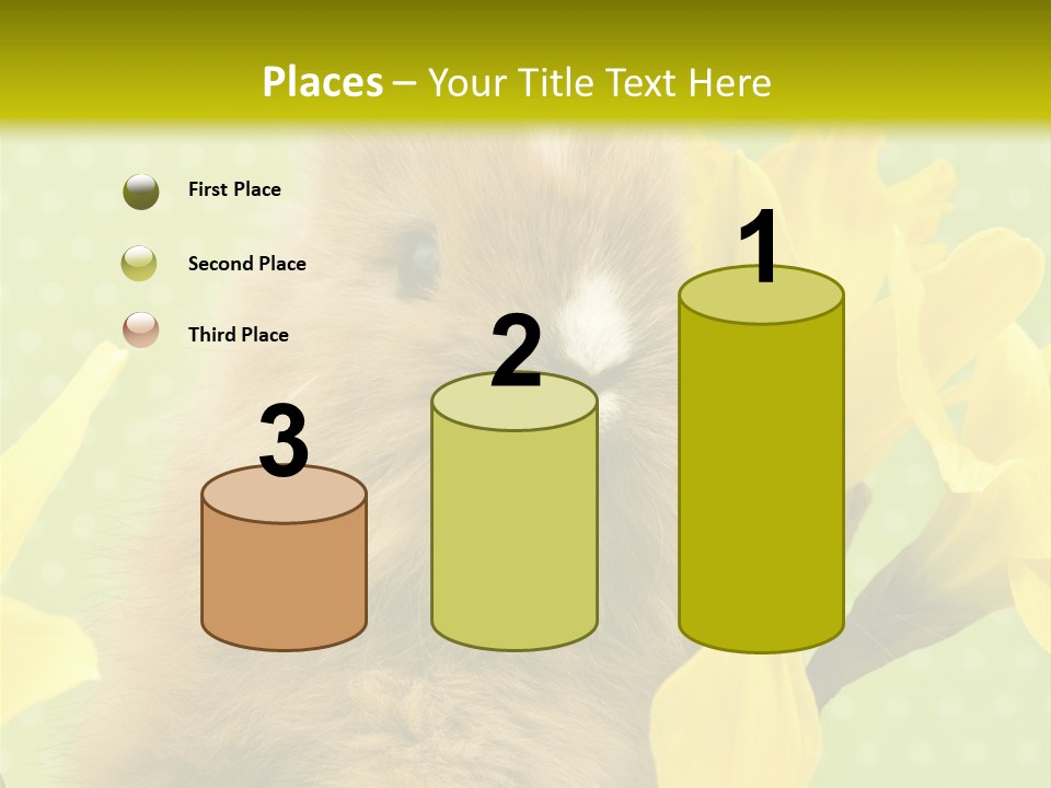 Blumen Portrait Fest PowerPoint Template