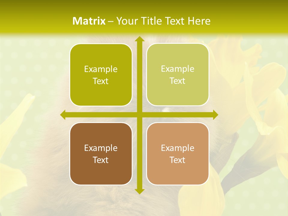 Blumen Portrait Fest PowerPoint Template