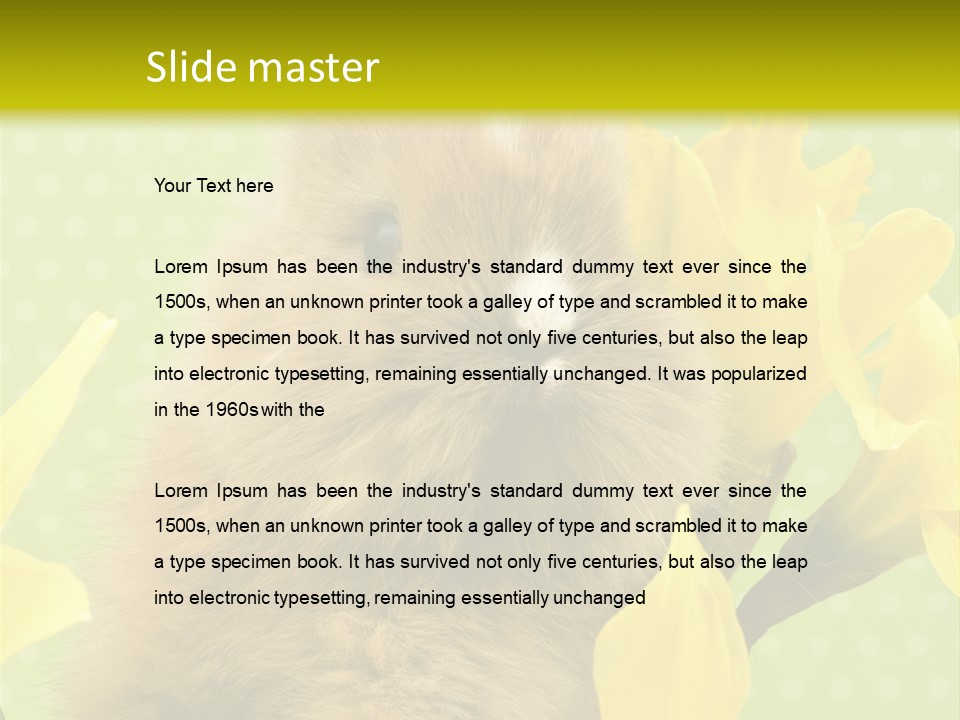 Blumen Portrait Fest PowerPoint Template