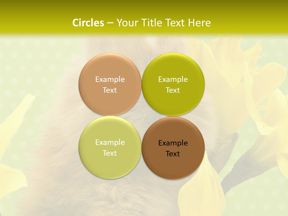 Blumen Portrait Fest PowerPoint Template