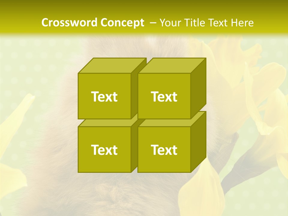 Blumen Portrait Fest PowerPoint Template