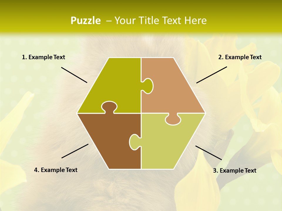 Blumen Portrait Fest PowerPoint Template