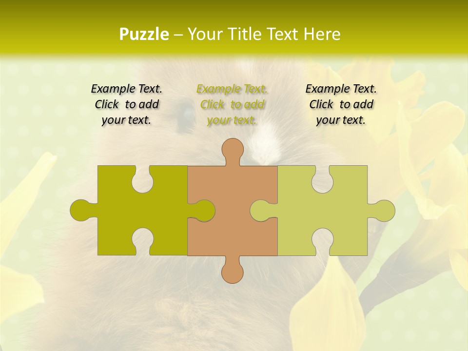 Blumen Portrait Fest PowerPoint Template