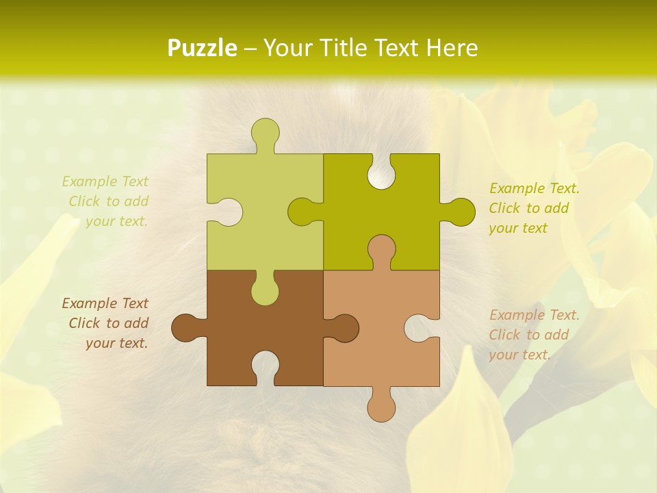 Blumen Portrait Fest PowerPoint Template