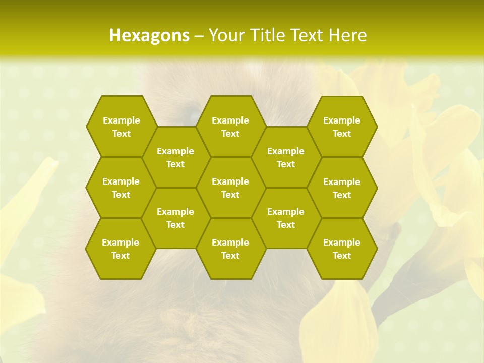 Blumen Portrait Fest PowerPoint Template