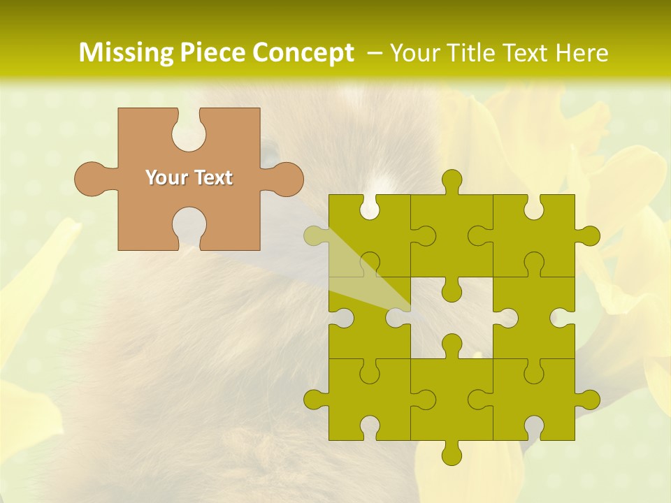 Blumen Portrait Fest PowerPoint Template