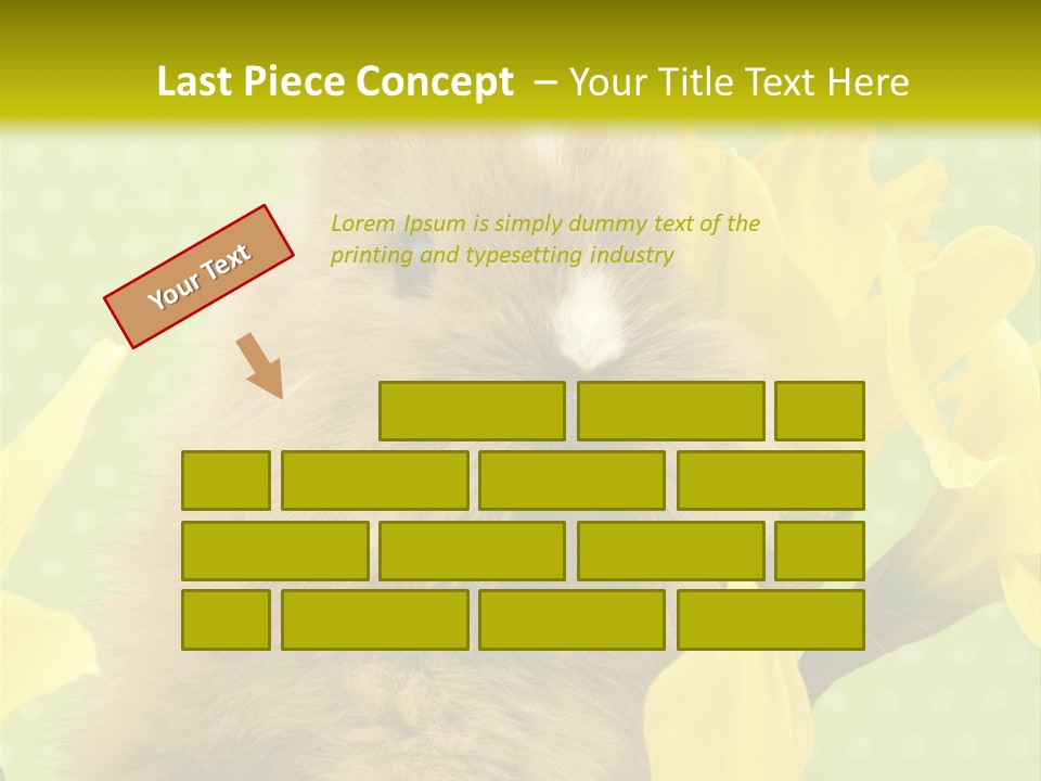 Blumen Portrait Fest PowerPoint Template