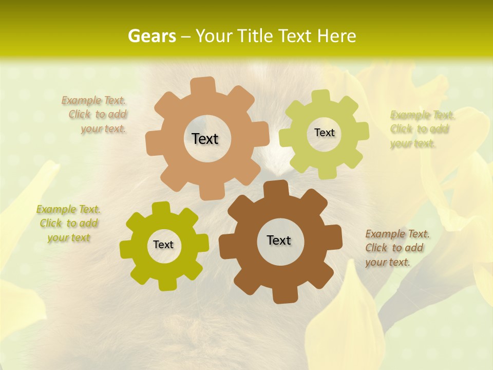 Blumen Portrait Fest PowerPoint Template