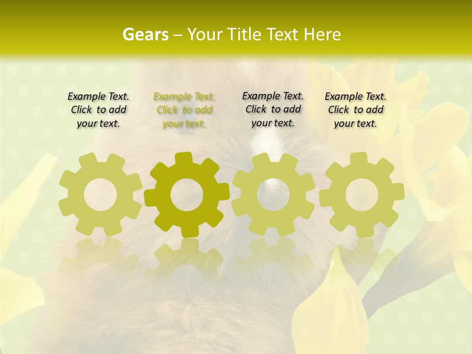 Blumen Portrait Fest PowerPoint Template