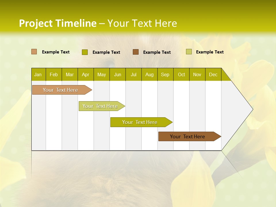 Blumen Portrait Fest PowerPoint Template