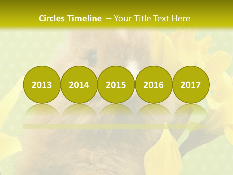 Blumen Portrait Fest PowerPoint Template