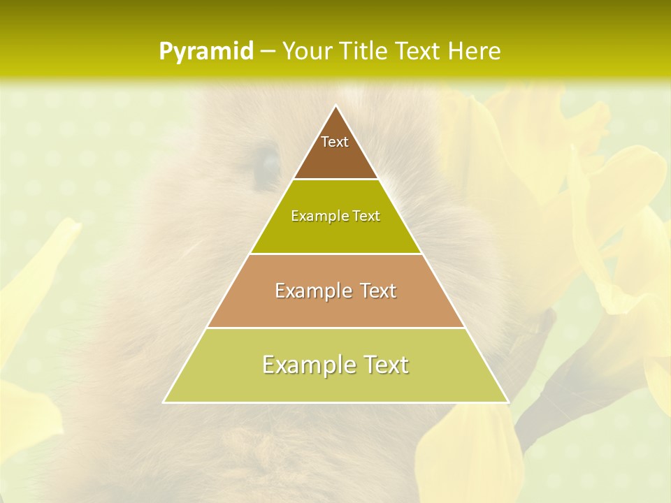 Blumen Portrait Fest PowerPoint Template