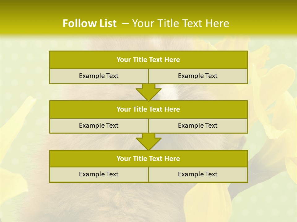 Blumen Portrait Fest PowerPoint Template