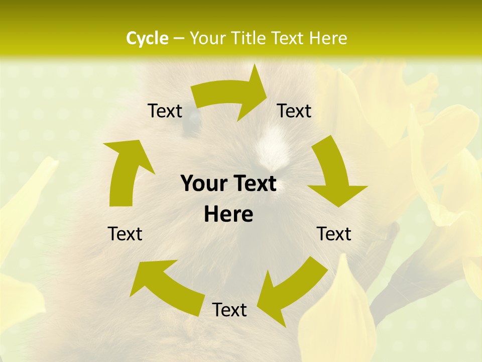 Blumen Portrait Fest PowerPoint Template