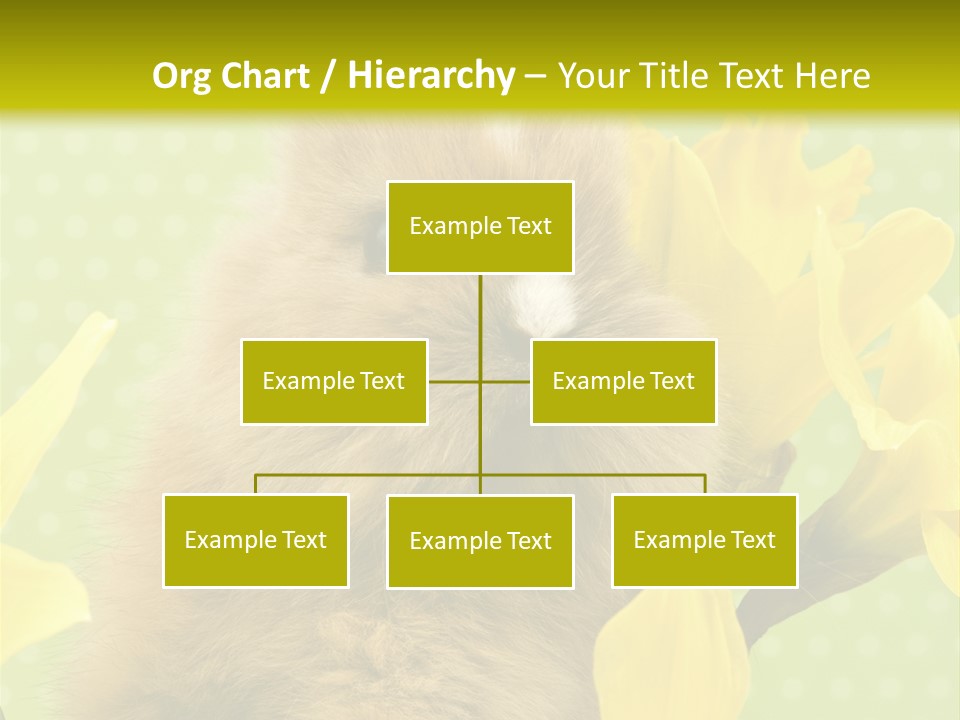 Blumen Portrait Fest PowerPoint Template