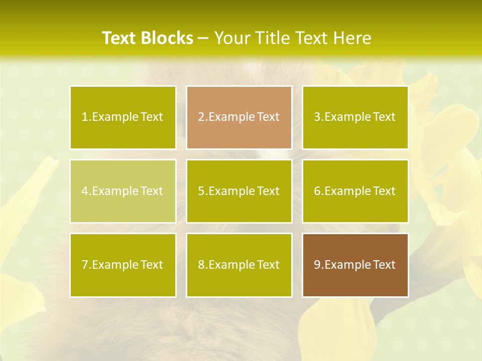 Blumen Portrait Fest PowerPoint Template