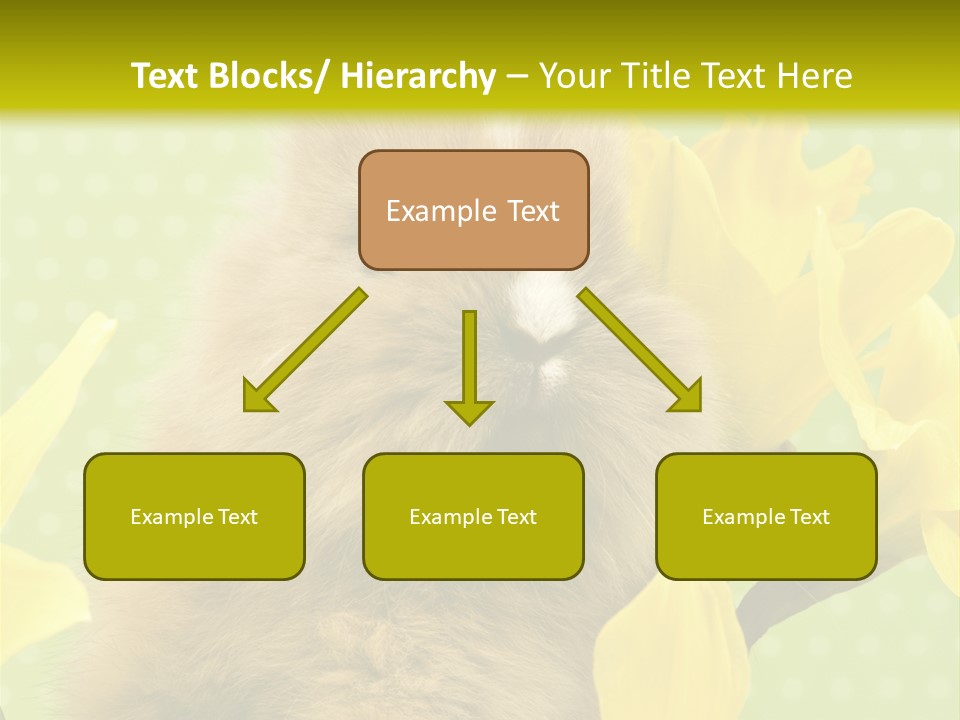 Blumen Portrait Fest PowerPoint Template