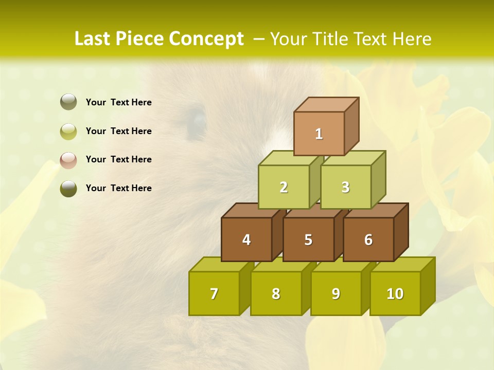 Blumen Portrait Fest PowerPoint Template