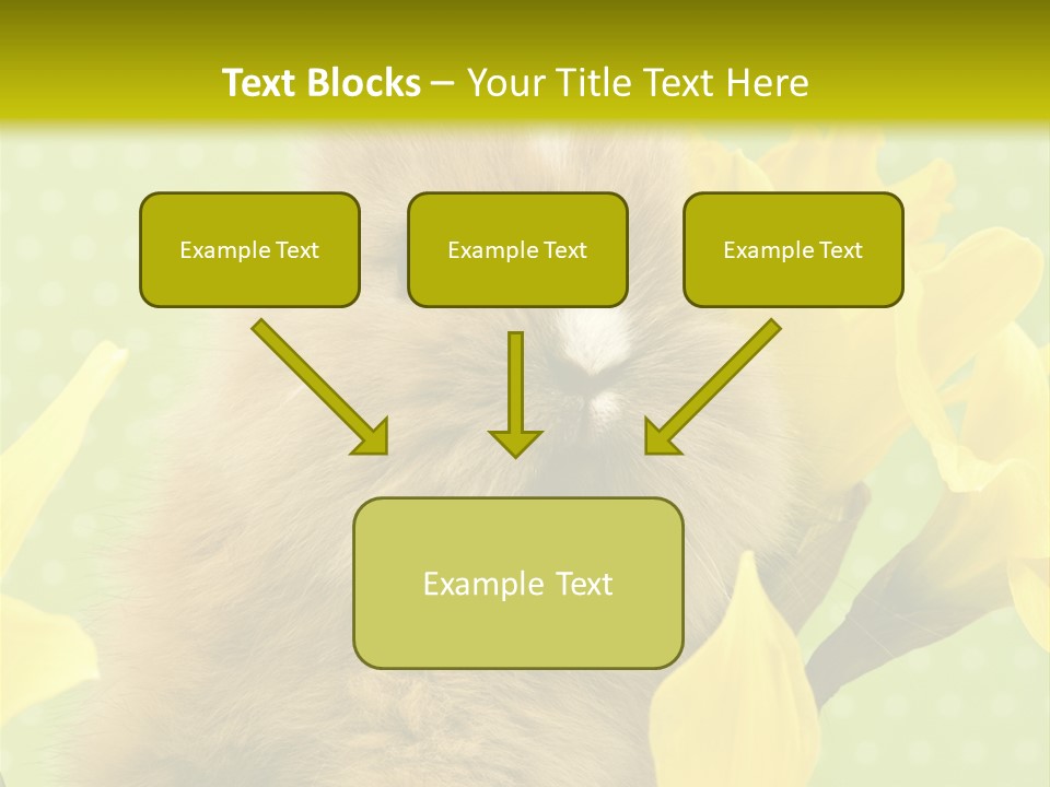 Blumen Portrait Fest PowerPoint Template