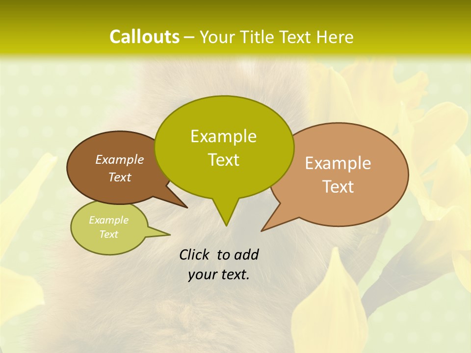 Blumen Portrait Fest PowerPoint Template