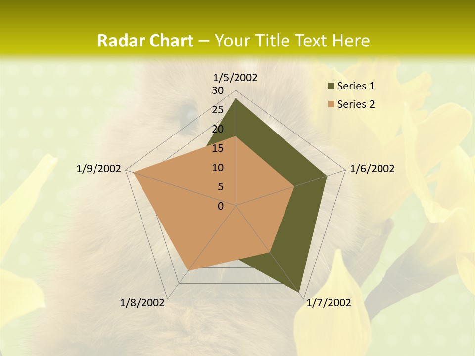 Blumen Portrait Fest PowerPoint Template