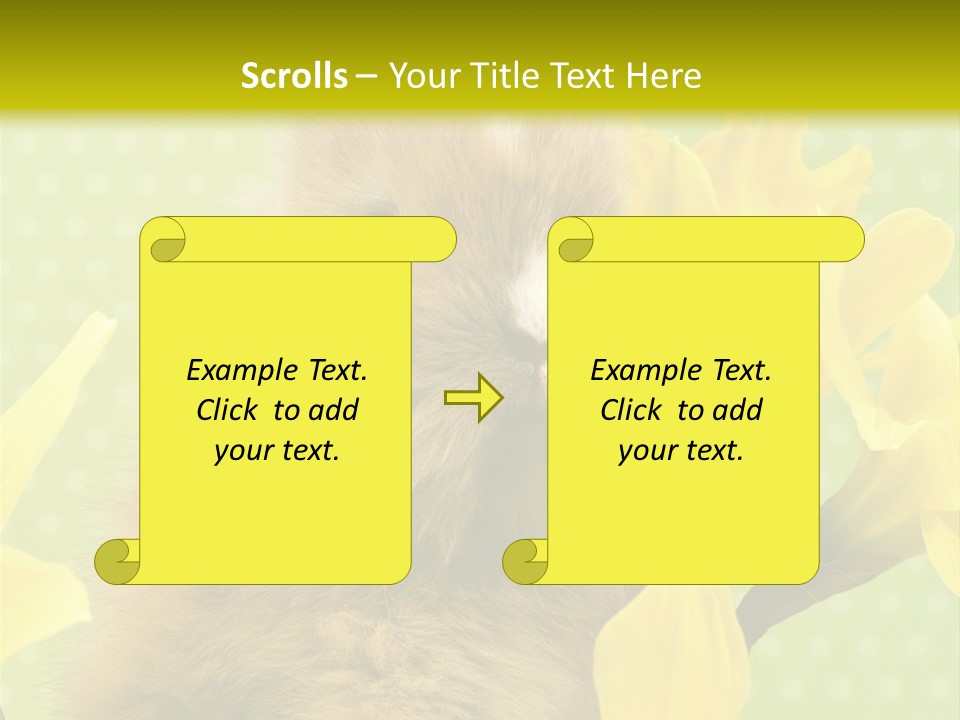 Blumen Portrait Fest PowerPoint Template