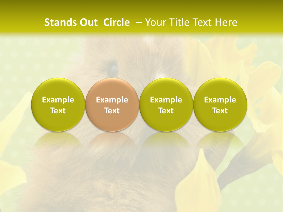 Blumen Portrait Fest PowerPoint Template