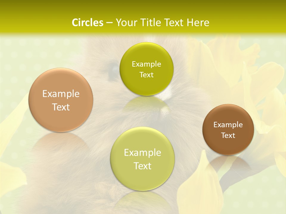 Blumen Portrait Fest PowerPoint Template