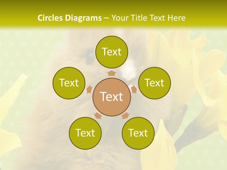 Blumen Portrait Fest PowerPoint Template