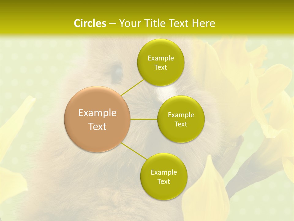 Blumen Portrait Fest PowerPoint Template