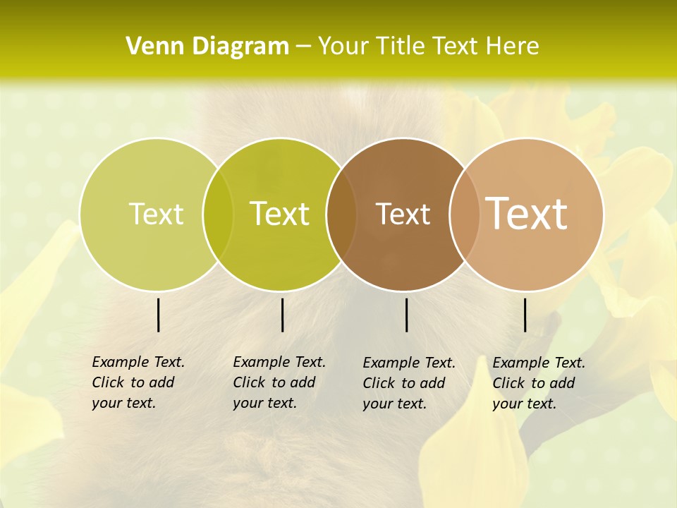 Blumen Portrait Fest PowerPoint Template