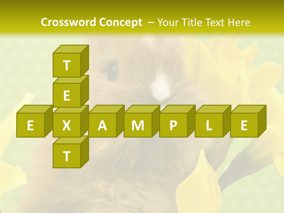 Blumen Portrait Fest PowerPoint Template