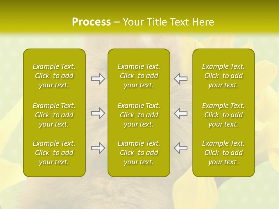 Blumen Portrait Fest PowerPoint Template
